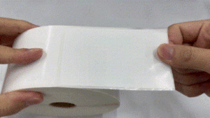 100mm x 60mm Gloss Polyester Labels