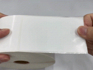 100mm x 60mm Gloss Polyester Labels