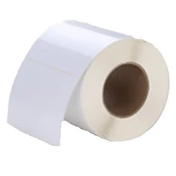 100mm x 200mm Gloss Polyester Labels